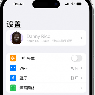 田家庵appleID维修服务iPhone设置中Apple ID显示为灰色无法使用