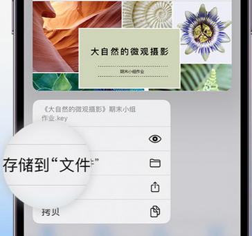 田家庵apple维修中心分享iPhone文件应用中存储和找到下载文件