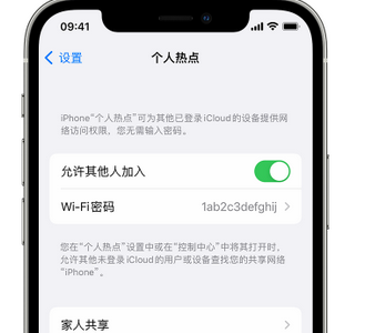 田家庵apple服务站点分享iPhone上个人热点丢失了怎么办 