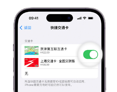 田家庵apple维修点分享iPhone上更换Apple Pay快捷交通卡手绘卡面 