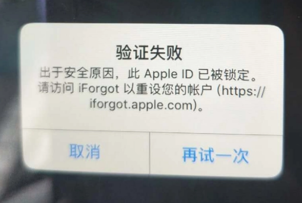 田家庵iPhone维修分享iPhone上正常登录或使用AppleID怎么办 