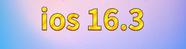 田家庵苹果服务网点分享苹果iOS16.3升级反馈汇总 