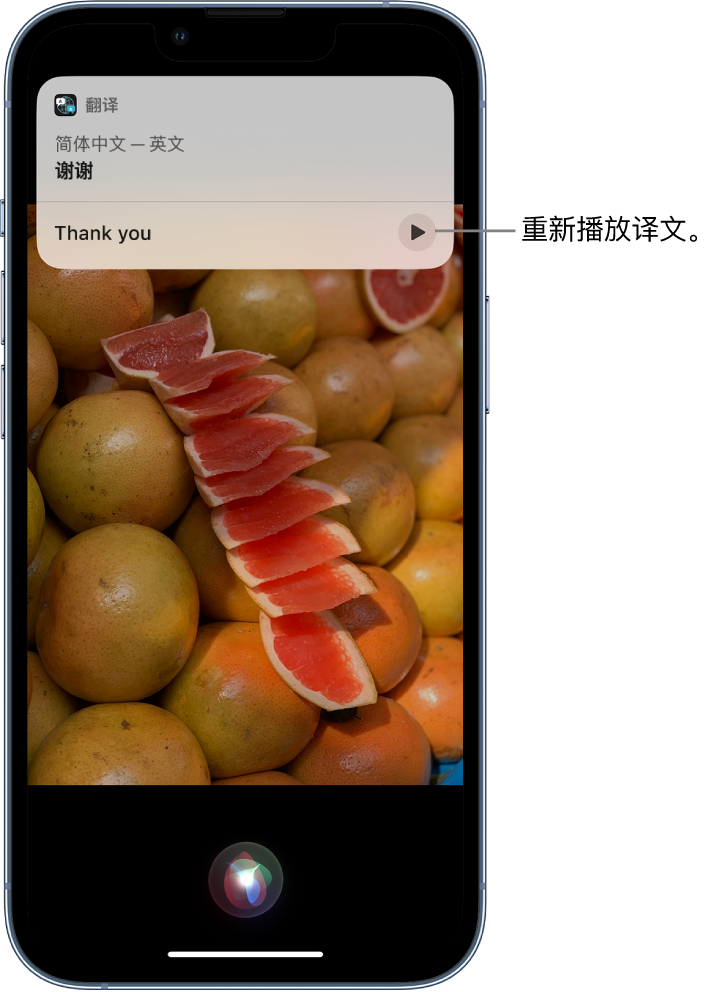 田家庵苹果14维修分享 iPhone 14 机型中使用 Siri：了解 Siri 能帮你做什么 