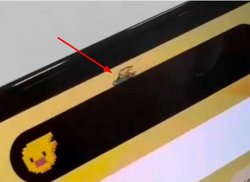 田家庵苹果14维修分享iPhone 14 Pro Max灵动岛怎么养宠物 