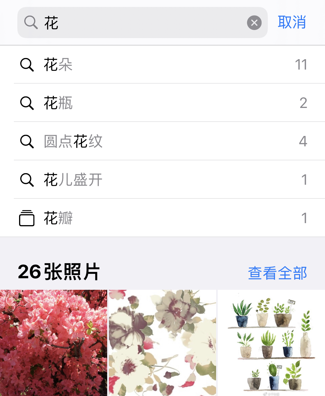 田家庵苹果手机维修分享iPhone 小技巧 